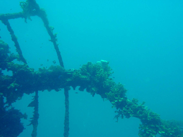 Tateyama Maru #4