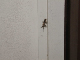 lizard in door